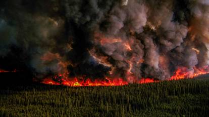 FILE PHOTO: Smoke billows upwards from a planned ignition by firefighters tackling the Donnie Creek Complex wildfire south of Fort Nelson