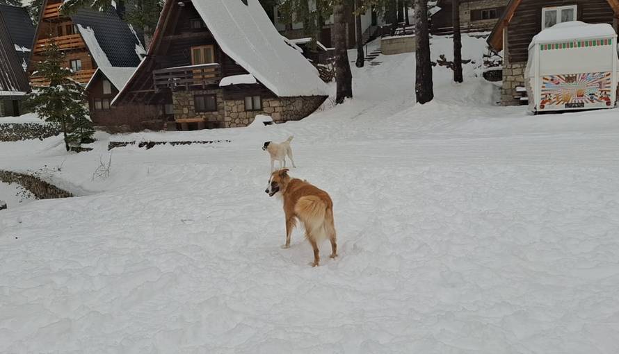Općinska komunalka sama 'izlopatala' snijeg sa staze: 'Nema nikakve drame u tome'