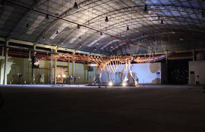 Težak kao Boeing 737: Otkrili najvećeg dinosaura u povijesti