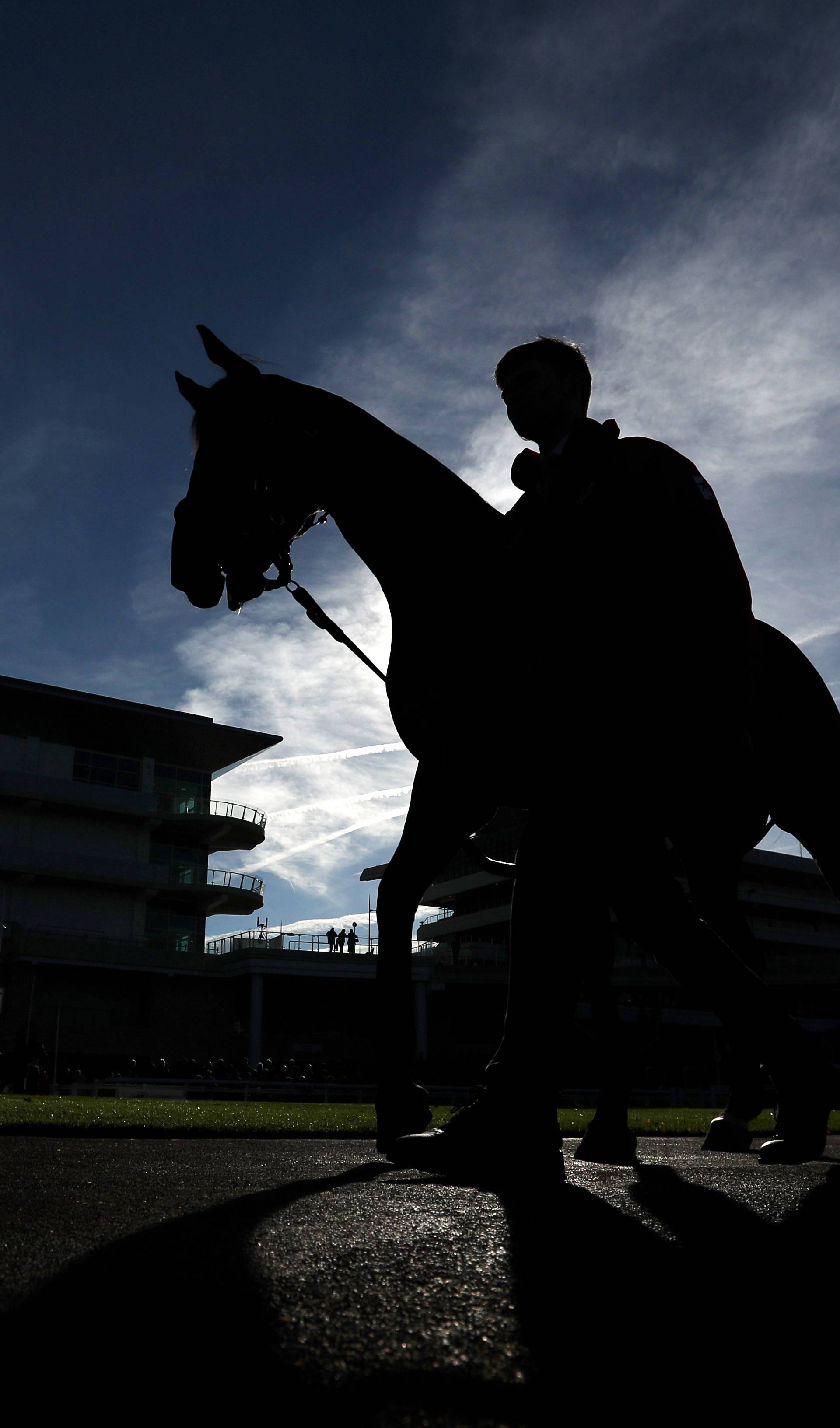 Cheltenham Racecourse - The Open - Countryside Day