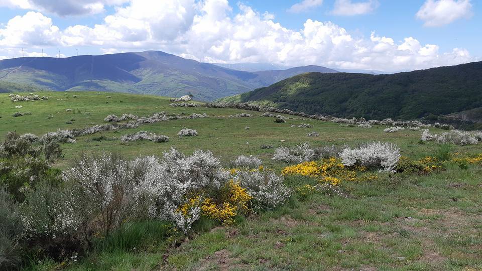 Nenad je pješačio čak 799 km: 'Camino je susret s Bogom...'