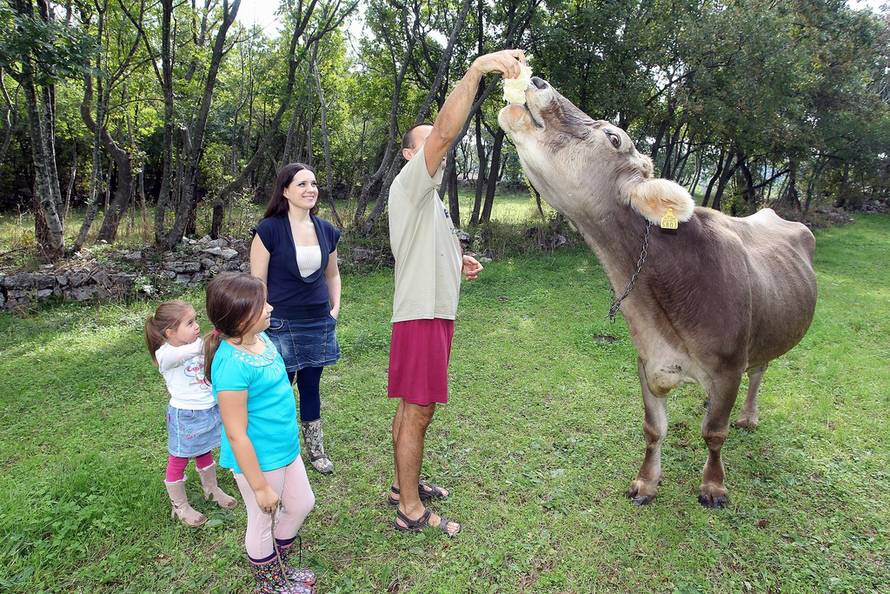 Željko Hladika/24sata