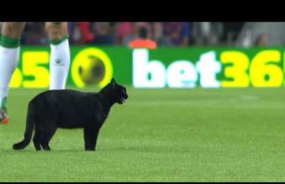 Mascherano i ekipa lovili crnu mačku po terenu Nou Campa