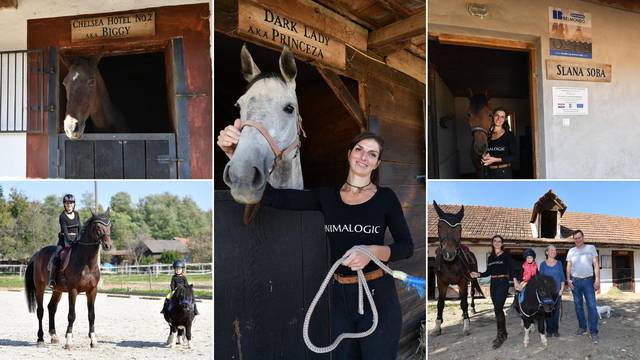 Wellness za konje u Međimurju: Dišne puteve liječe u slanoj sobi