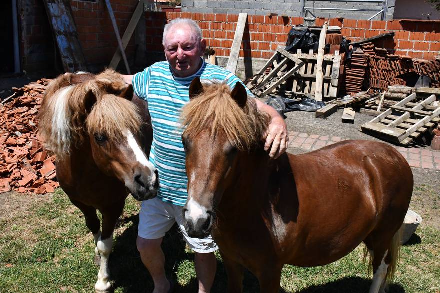 Umirovljenik Miroslav Vernota vlasnik je dva ponija