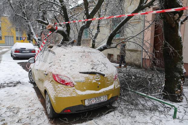 Na parkirani automobil u Osijeku palo stablo