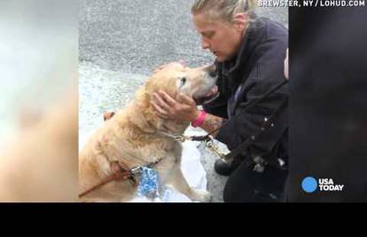 Heroj: Pas skočio pred bus i slijepoj vlasnici spasio život 