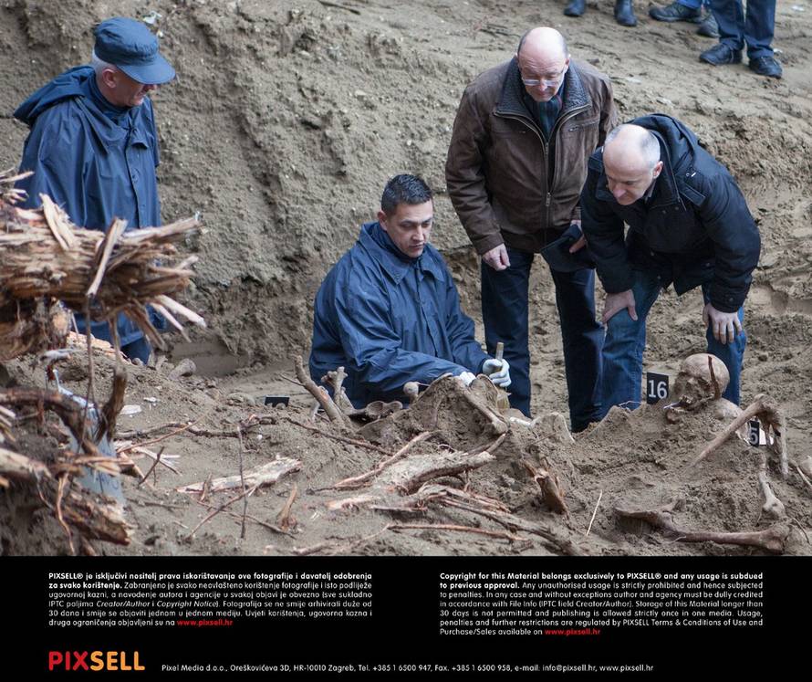 Grgo Jelavić/PIXSELL