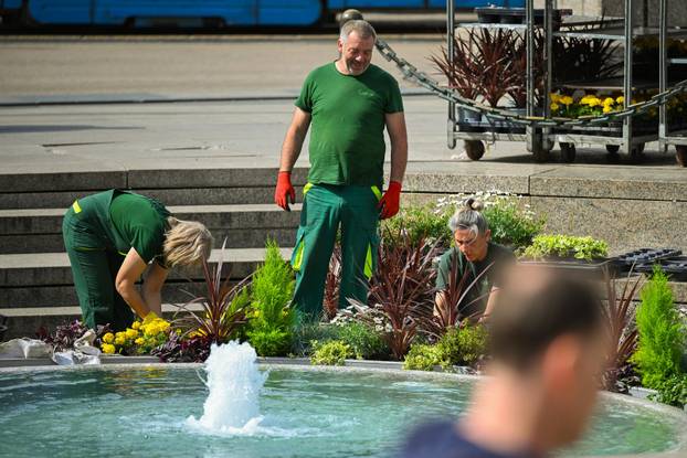 Zagreb: Radnici Zrinjevca započeli sa sađenjem cvijeća po zelenim površinama u centru grada