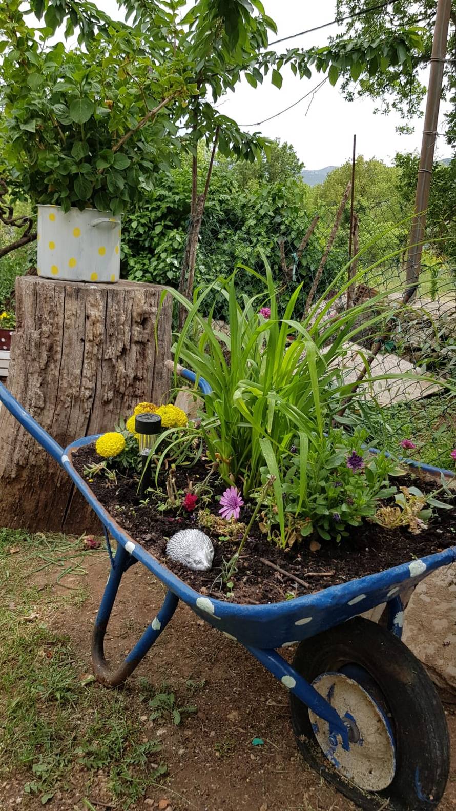 'Skupa smo se krstili, kad sam čuo njen plač zaljubio sam se'