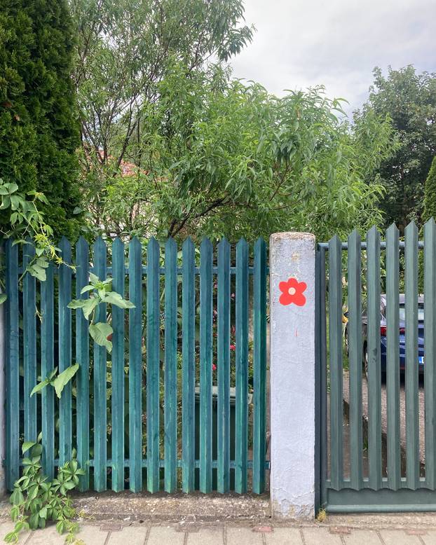 FOTO Grad pretvoren u galeriju: Pogledajte predivne murale na kućama i zgradama u Čačku