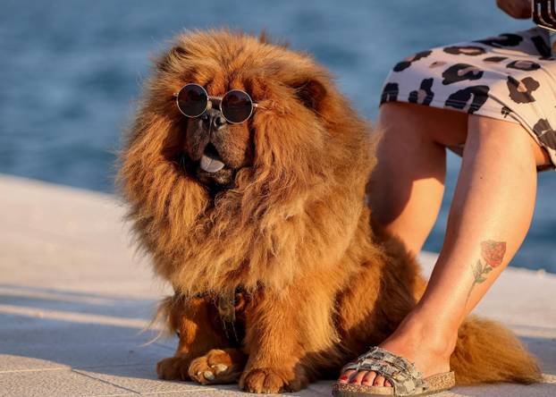 Zadar: Turisti uživaju u šetnji gradom