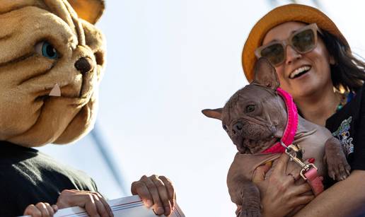 FOTO Ćelavost koja osvaja srca: Ovi su psi 'najružniji' na svijetu