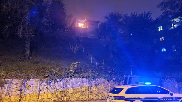 Požar u Gajnicama: 'Jako brzo se razbuktalo, nepristupačan je teren, ali su vatrogasci uspjeli'