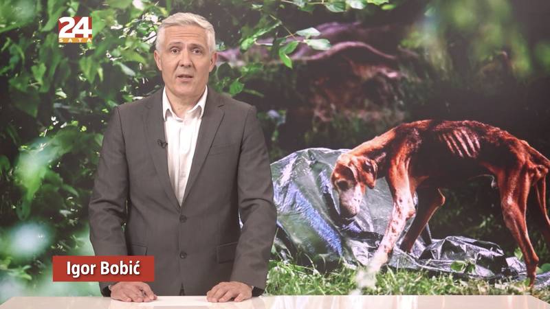 Gledajte '240 sekundi' 24sata: Pseći pakao kraj Dvora na Uni