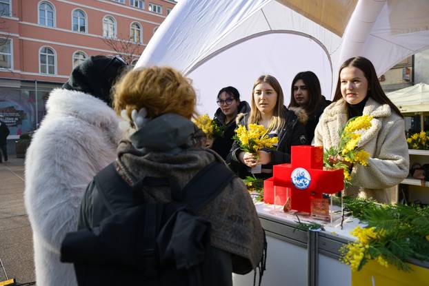 Zagreb: 19. Dan mimoza obilježen na Cvjetnom trgu