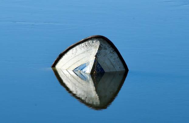 TOP 100 fotografija u 2024. godini
 