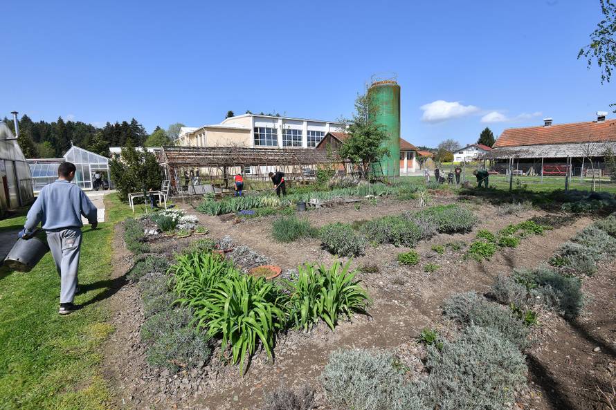 Vinica: Srednja škola "Arboretum Opeka"