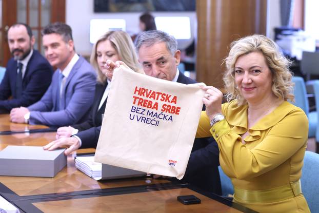 Zagreb:  Samostalna demokratska srpska stranka predala kandidature DIP-u