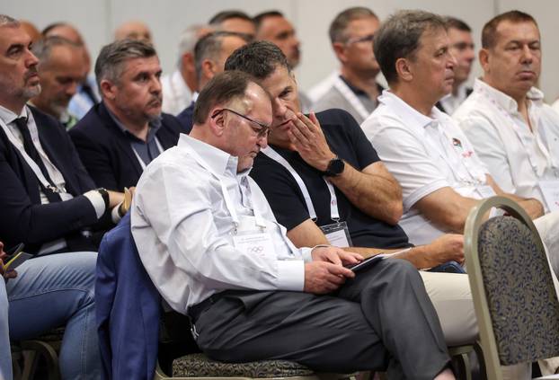 Zagreb: Počela izvanredna sjednica Skupštine Hrvatskog olimpijskog odbora (HOO)