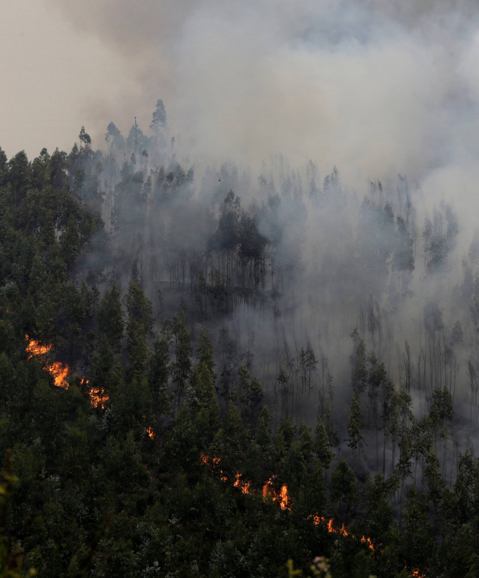 A forest is seen on fire in Pedrogao Grande
