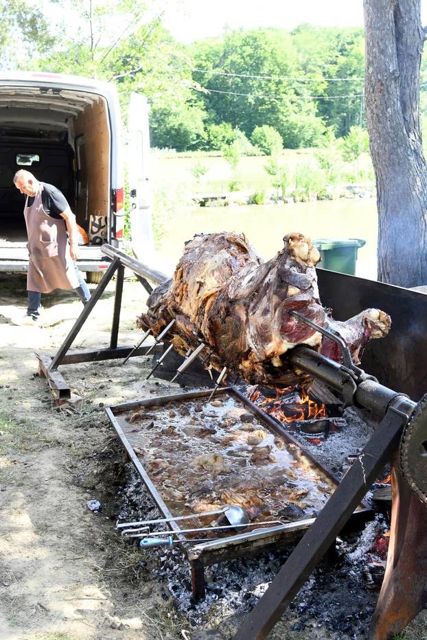 Grubišno Polje: Pečeni vol spreman za na izletištu Bara povodom Dana državnosti