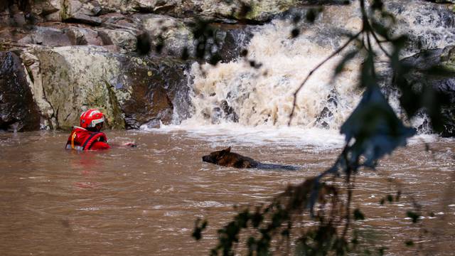 A search and rescue team uses a dog to search for bodies in Umbumbulu