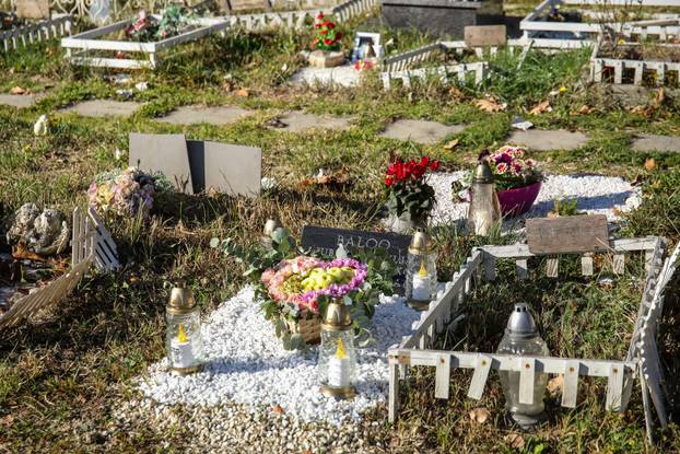 Zagreb: Groblje kućnih ljubimaca u Dumovcu obišao je jedino jedan mačak
