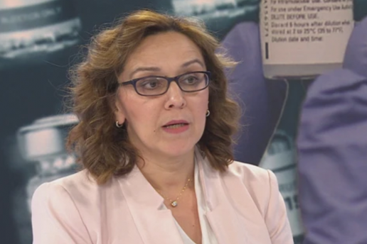 Tko je uhićena Ana Budimir? Šefica zavoda je za namještanje navodno dobila put i ogradu