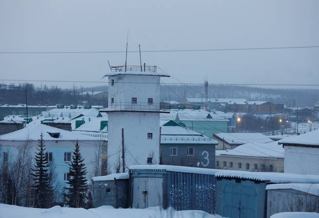 FILE PHOTO: A view shows the IK-3 penal colony in Kharp