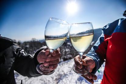 FOTO U Kašinskoj Sopnici održali ceremoniju kićenja trsa