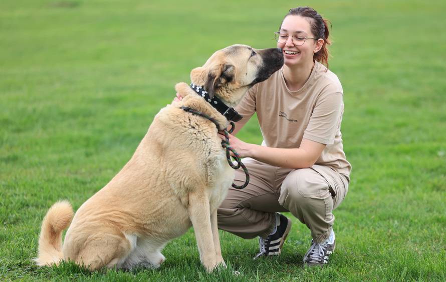 Zagreb: Napušteni psi u Dumovcu