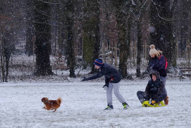 Maksimir