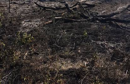 Požar na Promini još gasi 90 vatrogasaca, u Zatonu ugašen