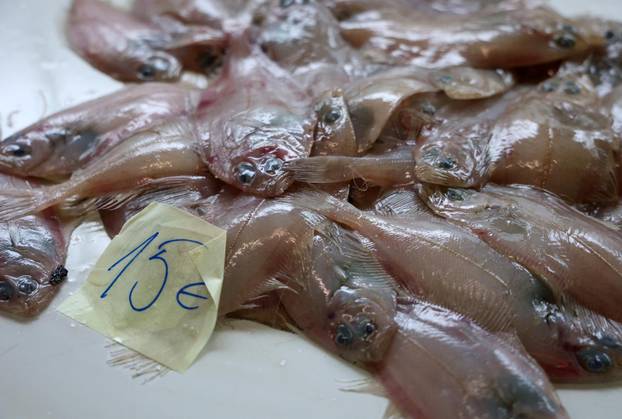 Šibenik: Skromna ponuda srdela i ostale ribe na ribarnici