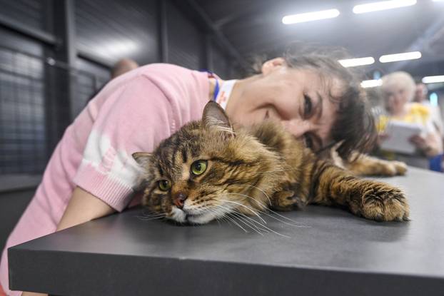 Zagreb: Međunarodna izložba mačaka WCF Cat Olimpia 2025