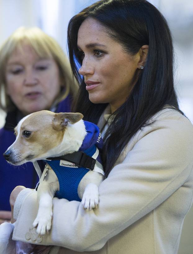 Royal visit to Mayhew charity