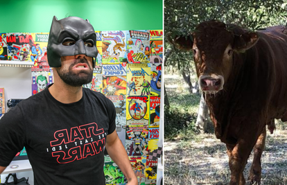 Ivan Šarić o biku Jerryju: On je stoka koja je odlučila biti heroj