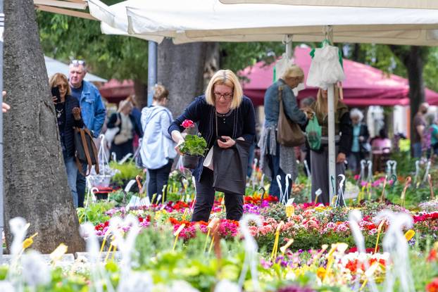 Pula: 17. Florija (sajam cvijca) na Giardinima