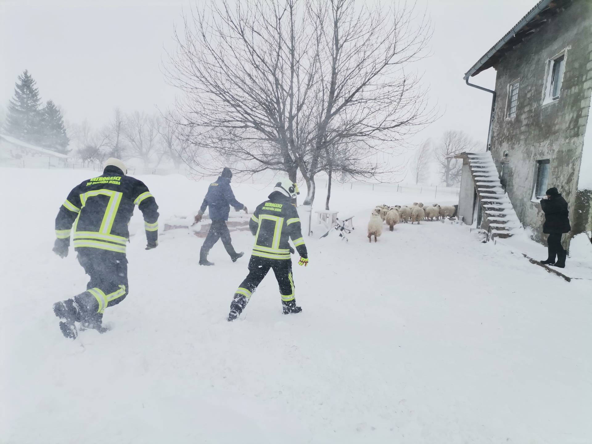 VIDEO Drama u Lici: Vatrogasci spasili 48 ljudi iz snježne oluje!