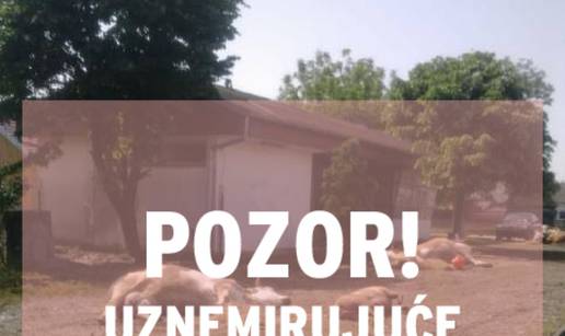 Apel iz Gunje: 'Šaljite ljude, mi smo sada na ekološkoj bombi!'