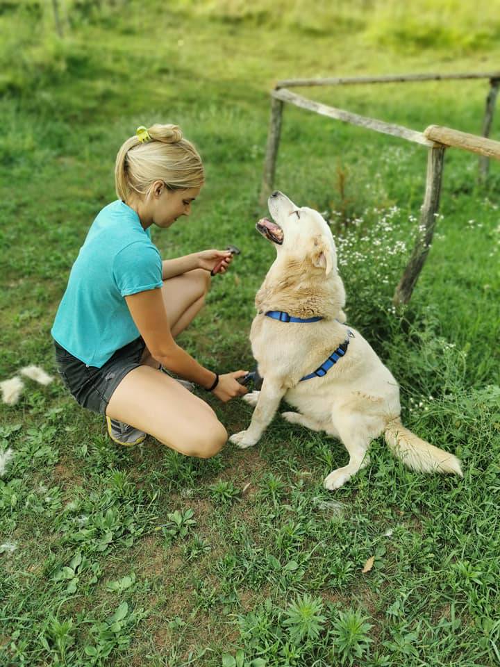 Bio je  omotan lancima, a sad je sretan i počinje život iznova! 'Jako uživa, svi ga obožavaju'