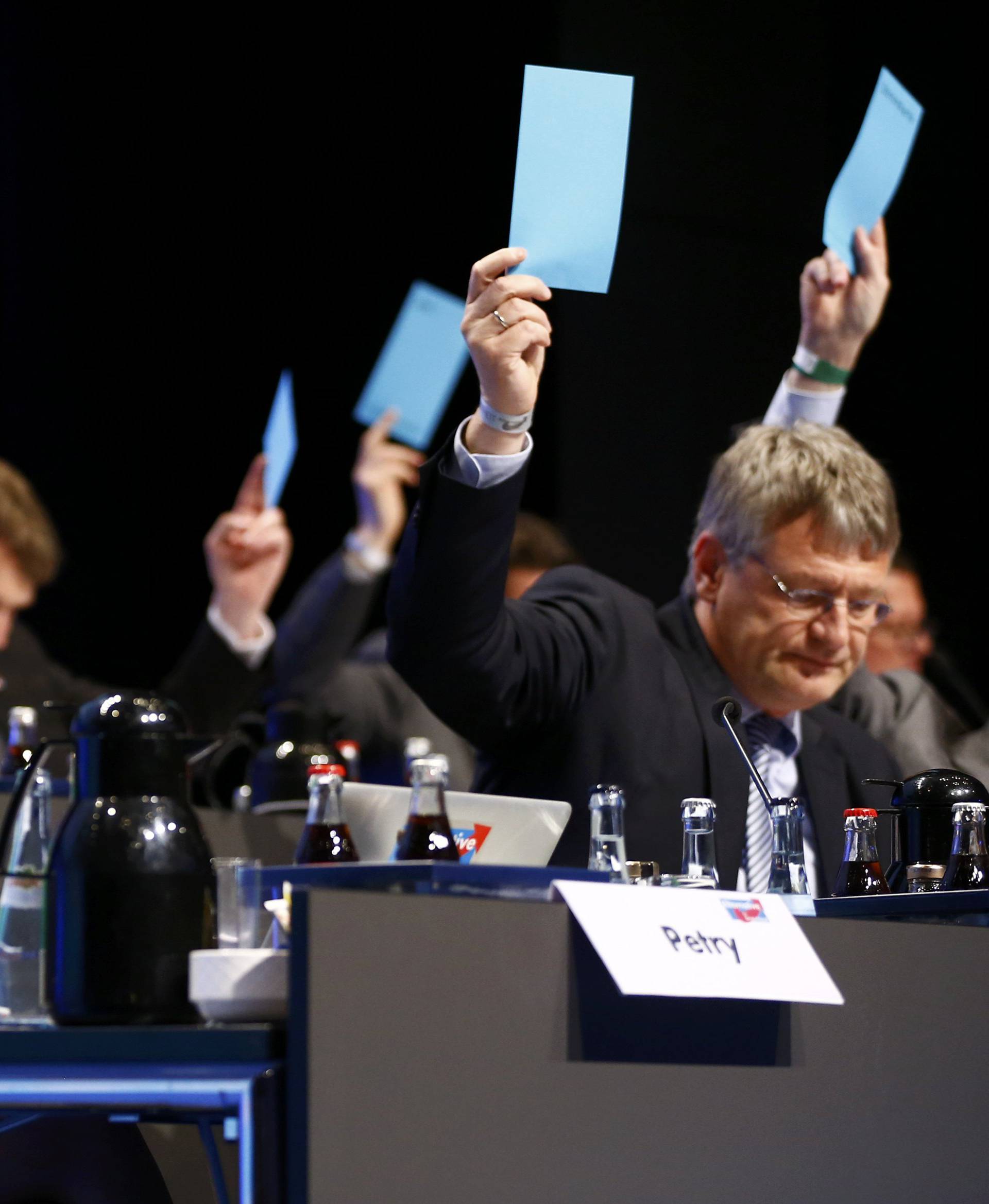 Petry, chairwoman of the anti-immigration party Alternative for Germany (AfD), votes during the AfD congress in Stuttgart