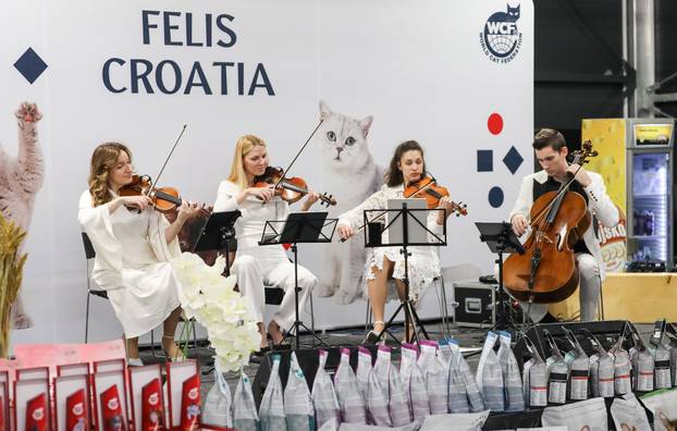 FOTO Otvorena Svjetska izložba mačaka u zagrebačkom Family Mallu! Traje i tijekom nedjelje