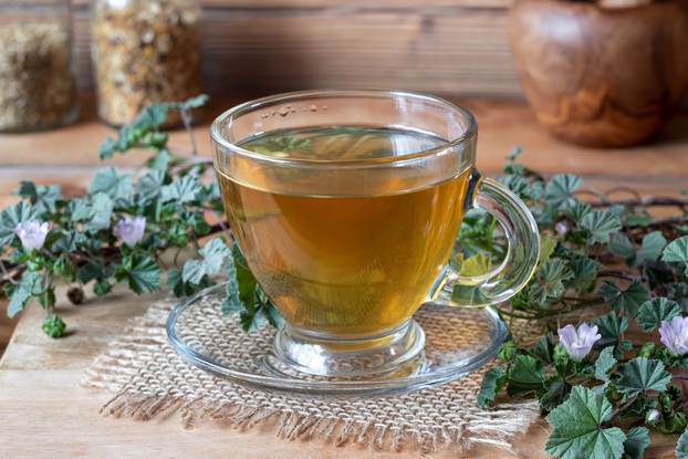 A cup of mallow tea with fresh blooming dwarf mallow