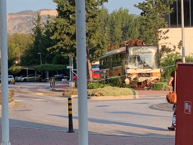 Goli do pasa ukrali autobus kod Dubrovnika, razbili ga i pobjegli