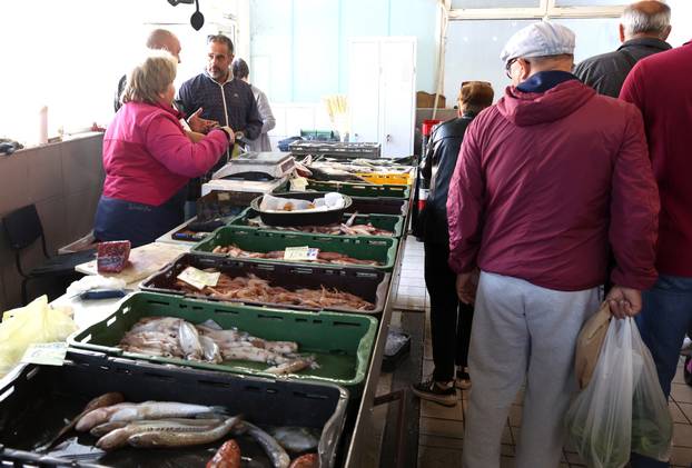 Šibenik: Ponuda ribe na šibenskoj ribarnici