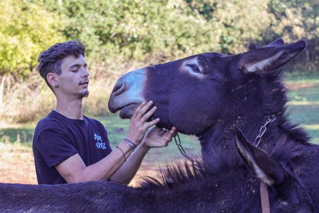 Vodnjan: Za Naj kozu 2025. godine izabrana je koza Jelena, vlasnika Mattea Muškovića 
