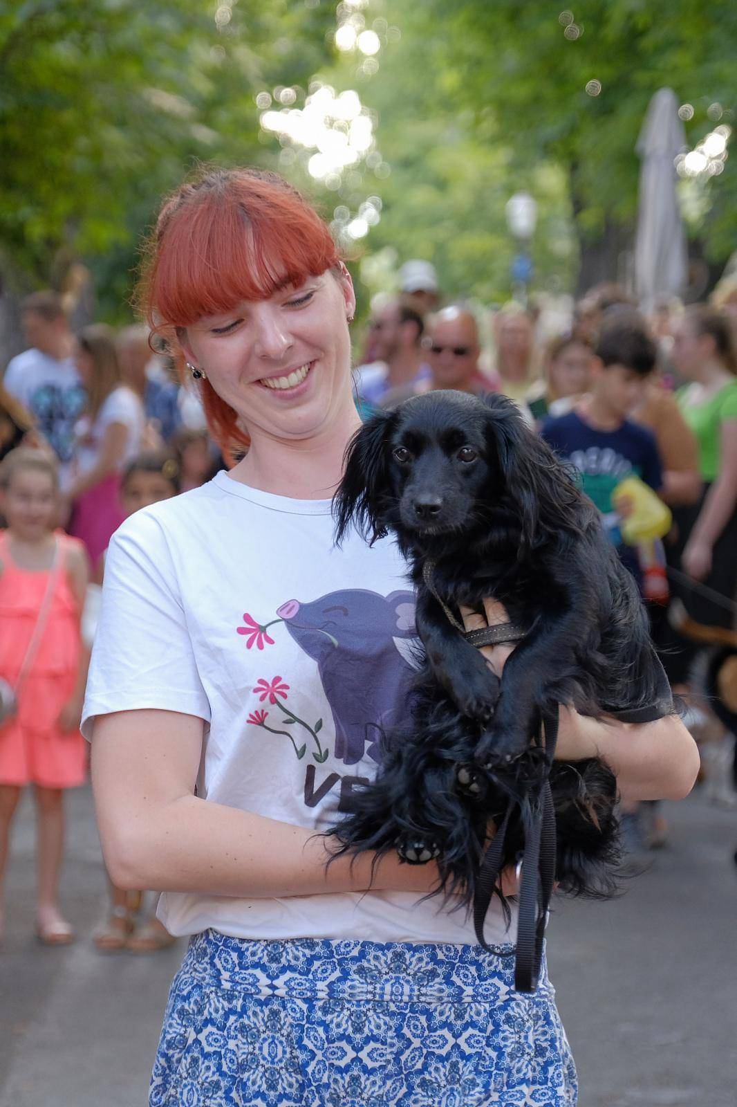 Tradicionalna revija pasa mješanaca u sklopu  Ljeta na Štrosu