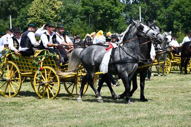 FOTO U znaku tradicije: Na 44. manifestaciji 'Konji bijelci' vozile su se i svadbarske kočije